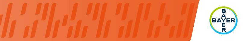 Hero Bottom Decoration